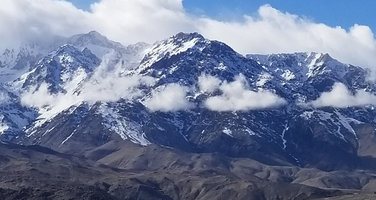 Appreciating and preserving nature’s wildflowers and snow-capped mountains 