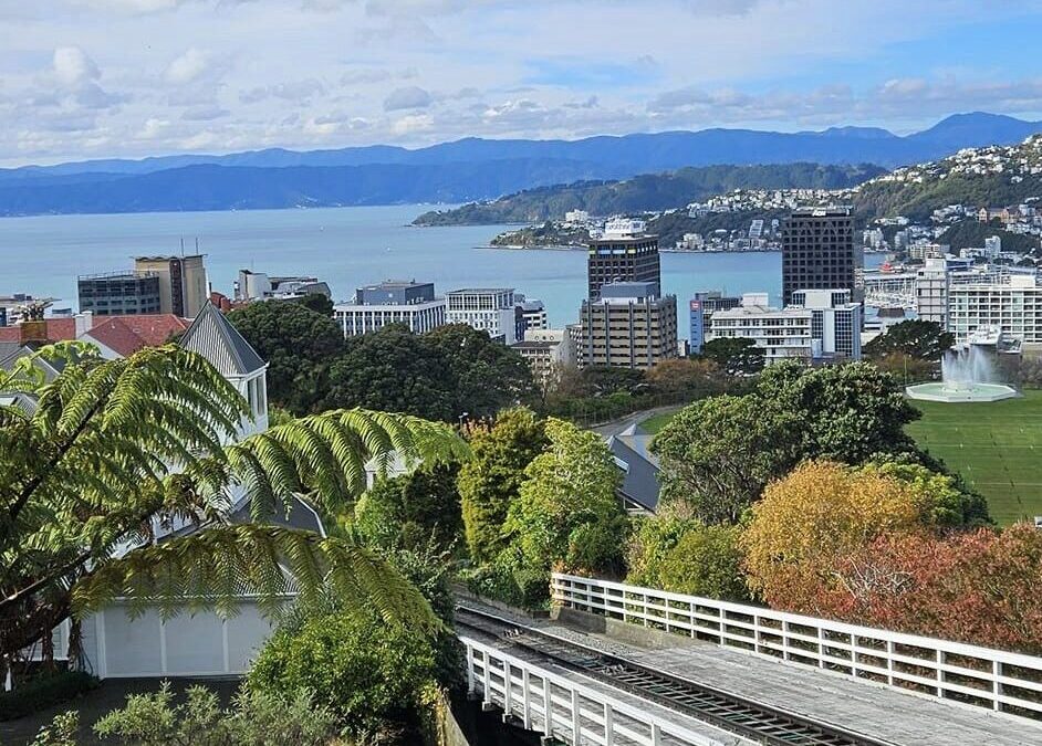 Traffic Woes and Tranquil Views: Our Wellington Arrival and Botanic Garden Adventure